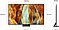 �������� ''55 SAMSUNG NEO QLED 4K ������ ��� QE55QN70F