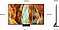 טלוויזיה ''75 SAMSUNG NEO QLED 4K סמסונג דגם QE75QN70F
