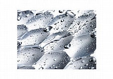 ����� ����� Miele WSD123 ����